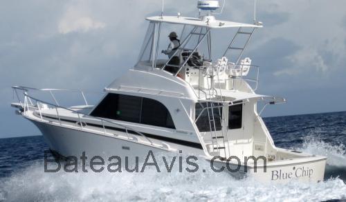 Bertram 33 Flybridge fiche technique et avis